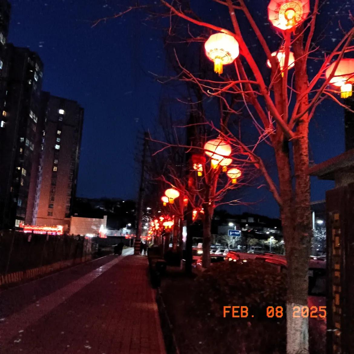 天南地北大拜年戳这里，一起放烟花>灯火阑珊处🔥红灯高高挂，夜景很美一起去看烟花