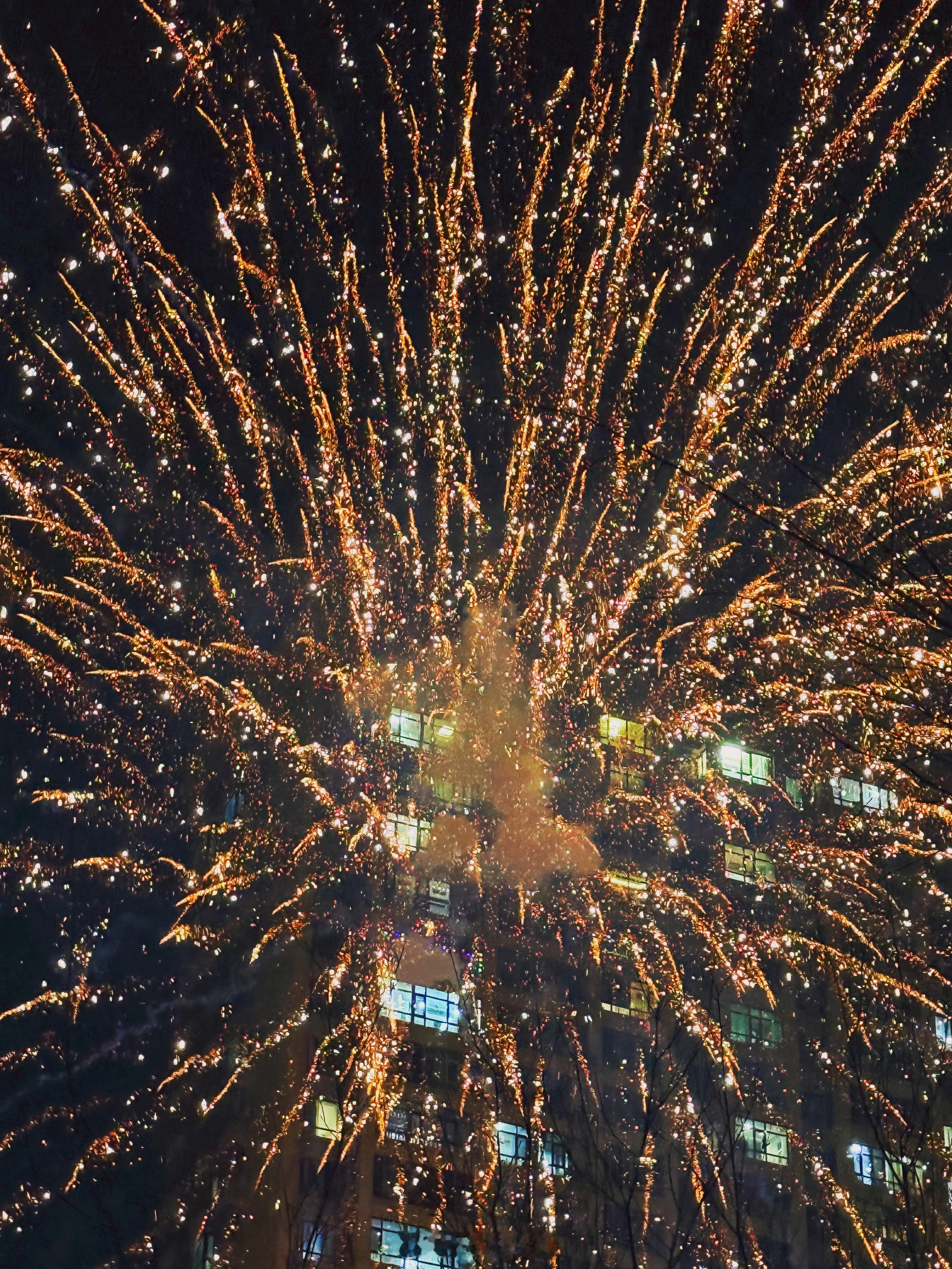 过年好过年好！！ 哈尔滨