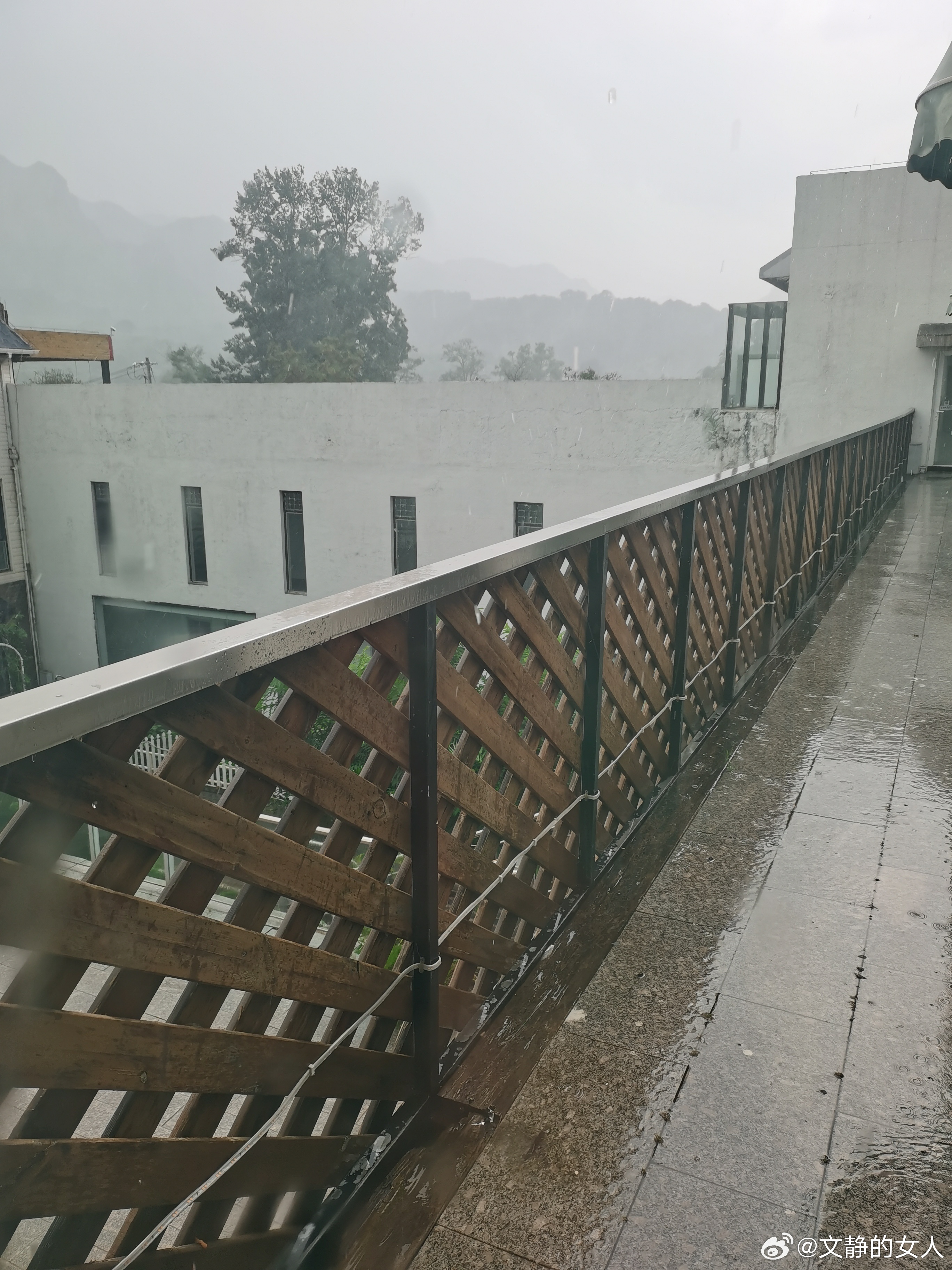 生活手记 天空黑压压滴，刮风了打雷了，雨马上到，我正看着天空，雨下起来了，我从露
