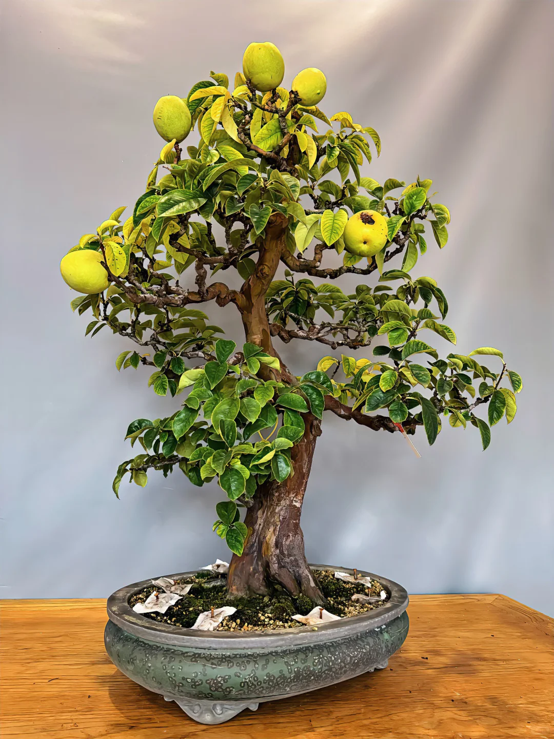 在那些庸常的日子里，长出灼灼光华。