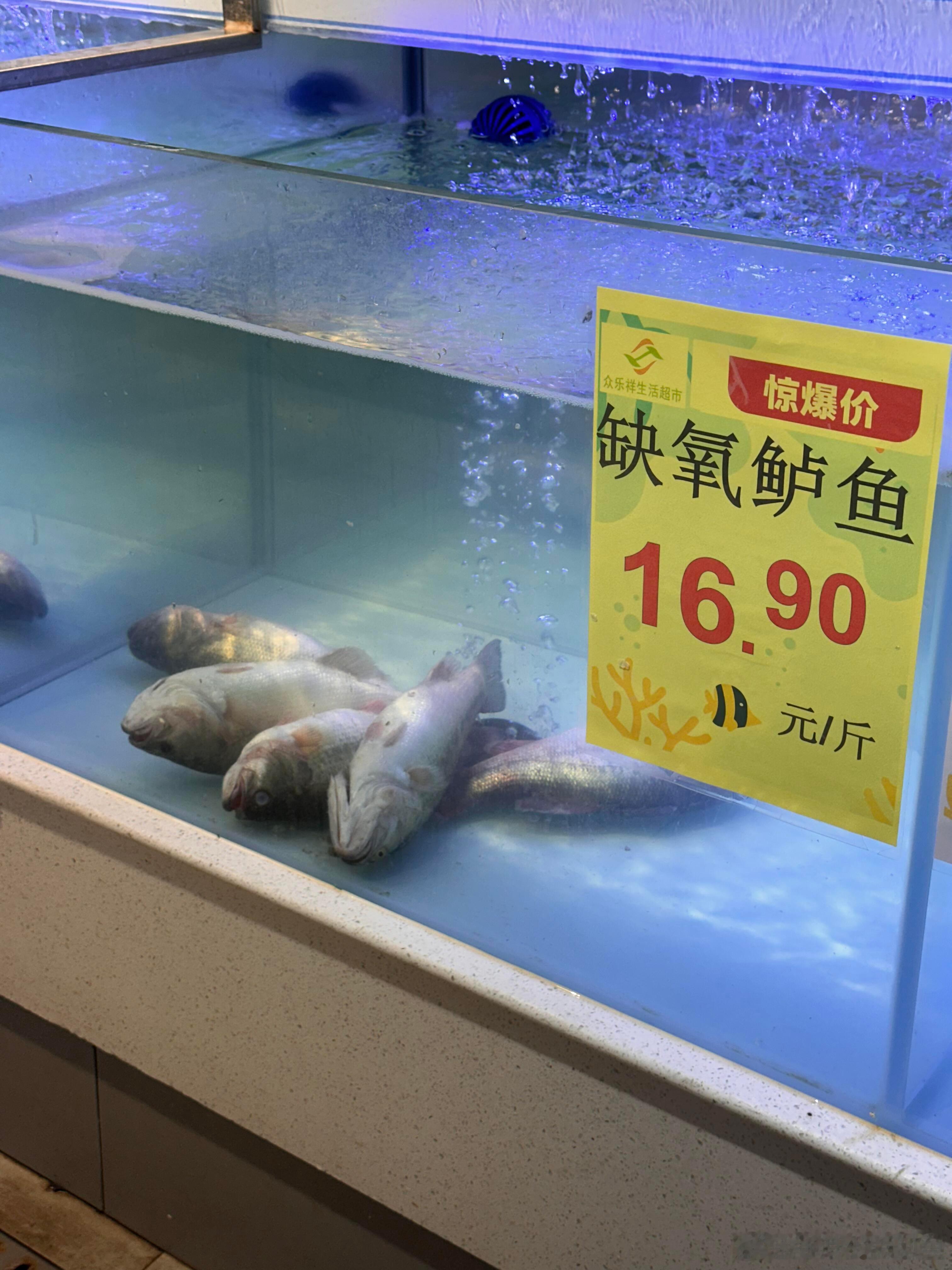 生鱼忧患，死鱼安乐 