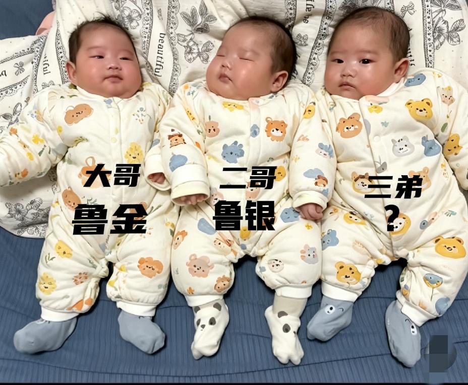 大哥叫鲁金，二哥叫鲁银，三弟该什么名字呢？请高手们帮忙取名！