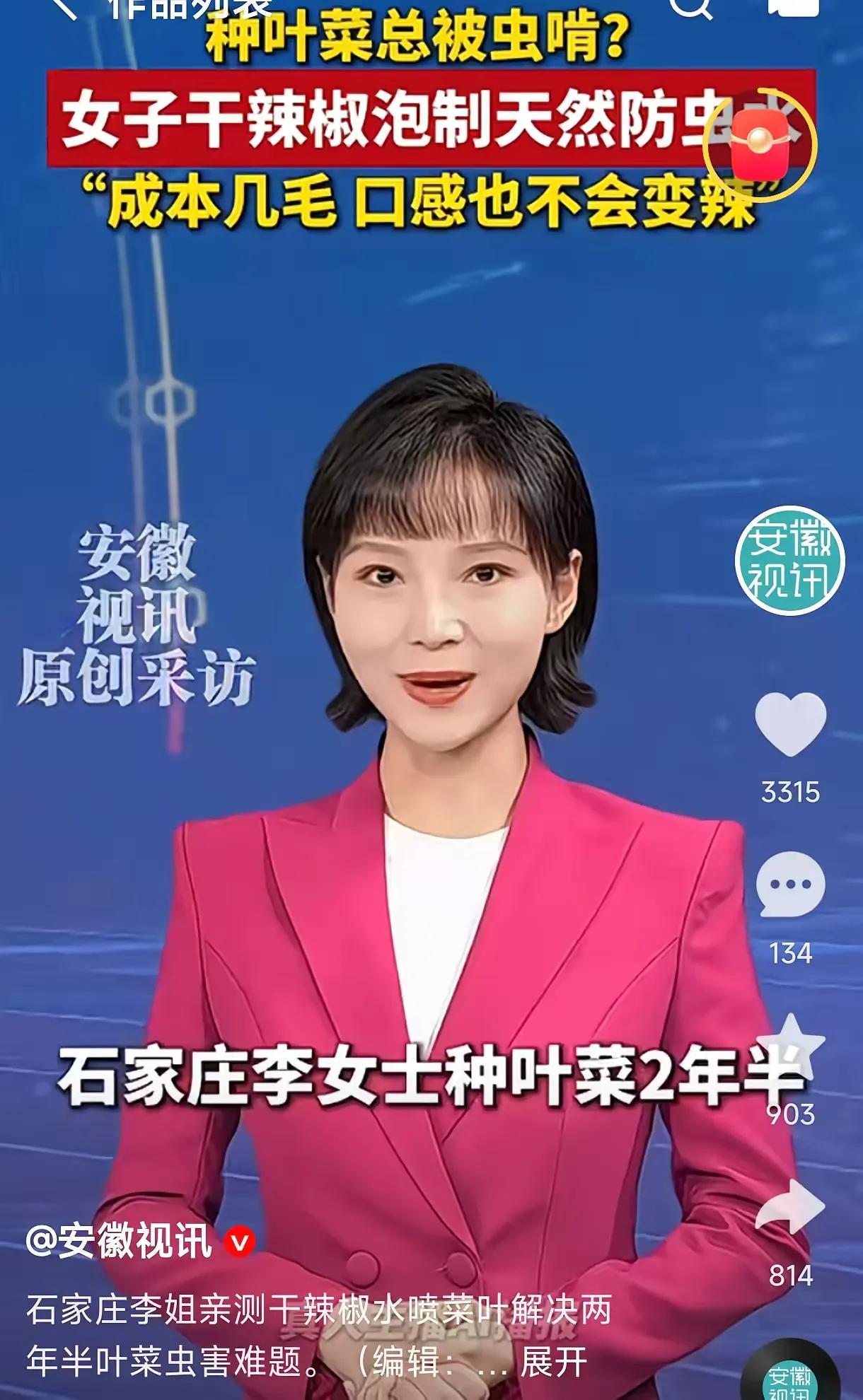 人怎么这么聪明！河北石家庄，一女子在家种青菜，结果小苗还没长大，就被虫子啃成了“
