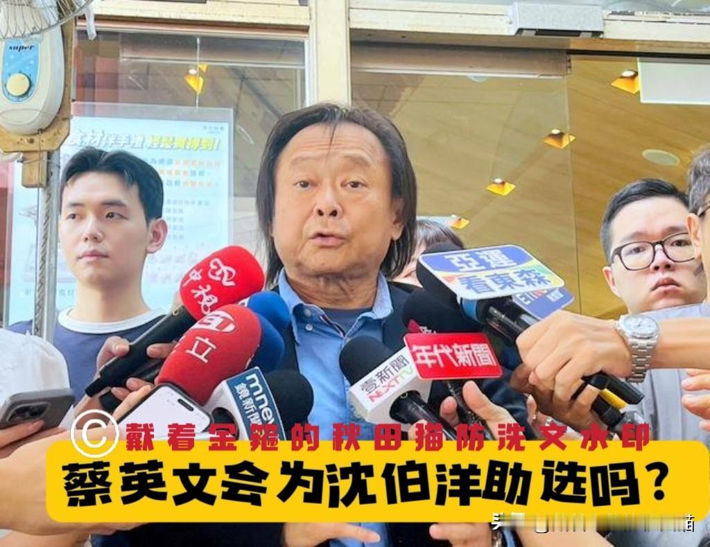 王世坚为蔡英文打圆场：她有余力的话，一定会帮沈伯洋！台北选情牵动绿营派系角力～