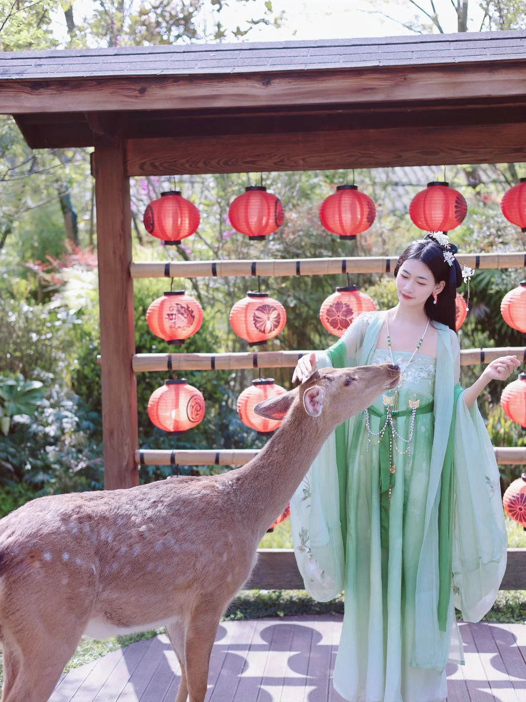 饮马川避暑🍃和小鹿贴贴太治愈🦌