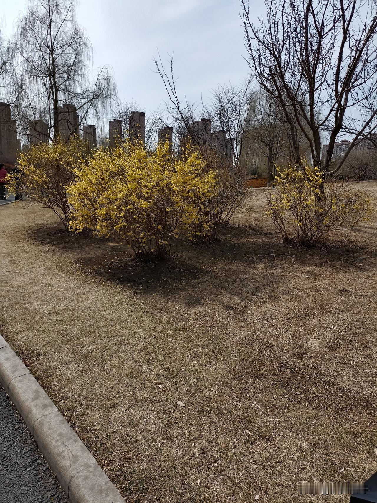 老刘发财了
老刘是单位员工，很健谈，说话快，但是，吐字清晰。
由于一些原因，老刘