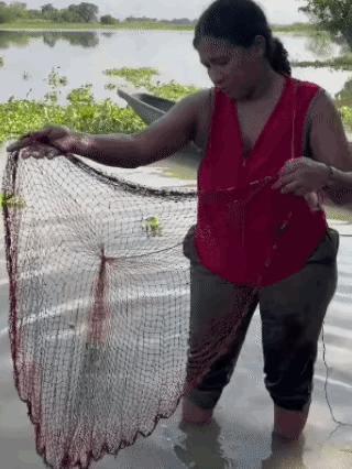 鳄鱼：请问我是鱼吗？