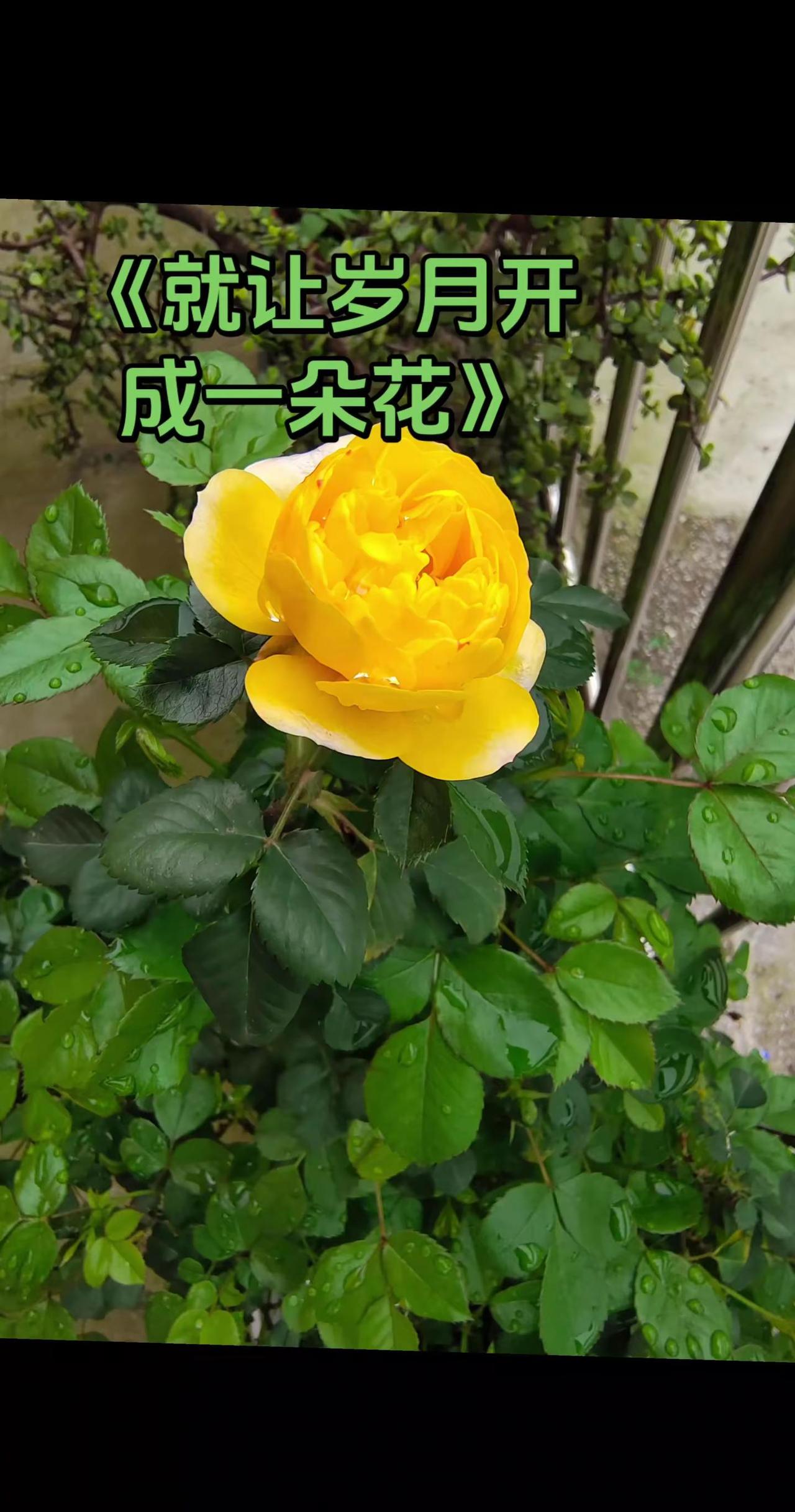 听听歌，放松一下自己