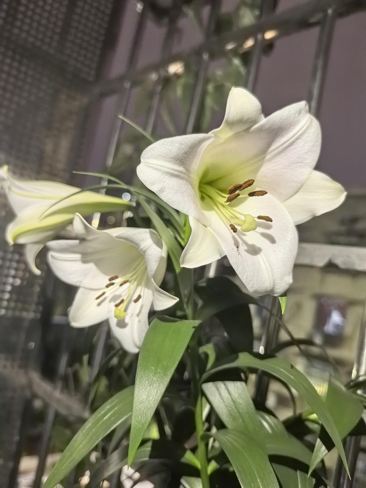 马斯克说，人类总要做一些事情，能让你在每天早上醒来时感到高兴，并且迫不及待的期待