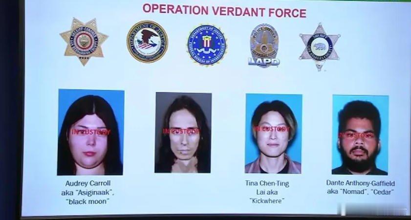 根据检察官向加州中区联邦地区法院提交的起诉书，4名嫌疑人上周在洛杉矶以东的卢塞恩