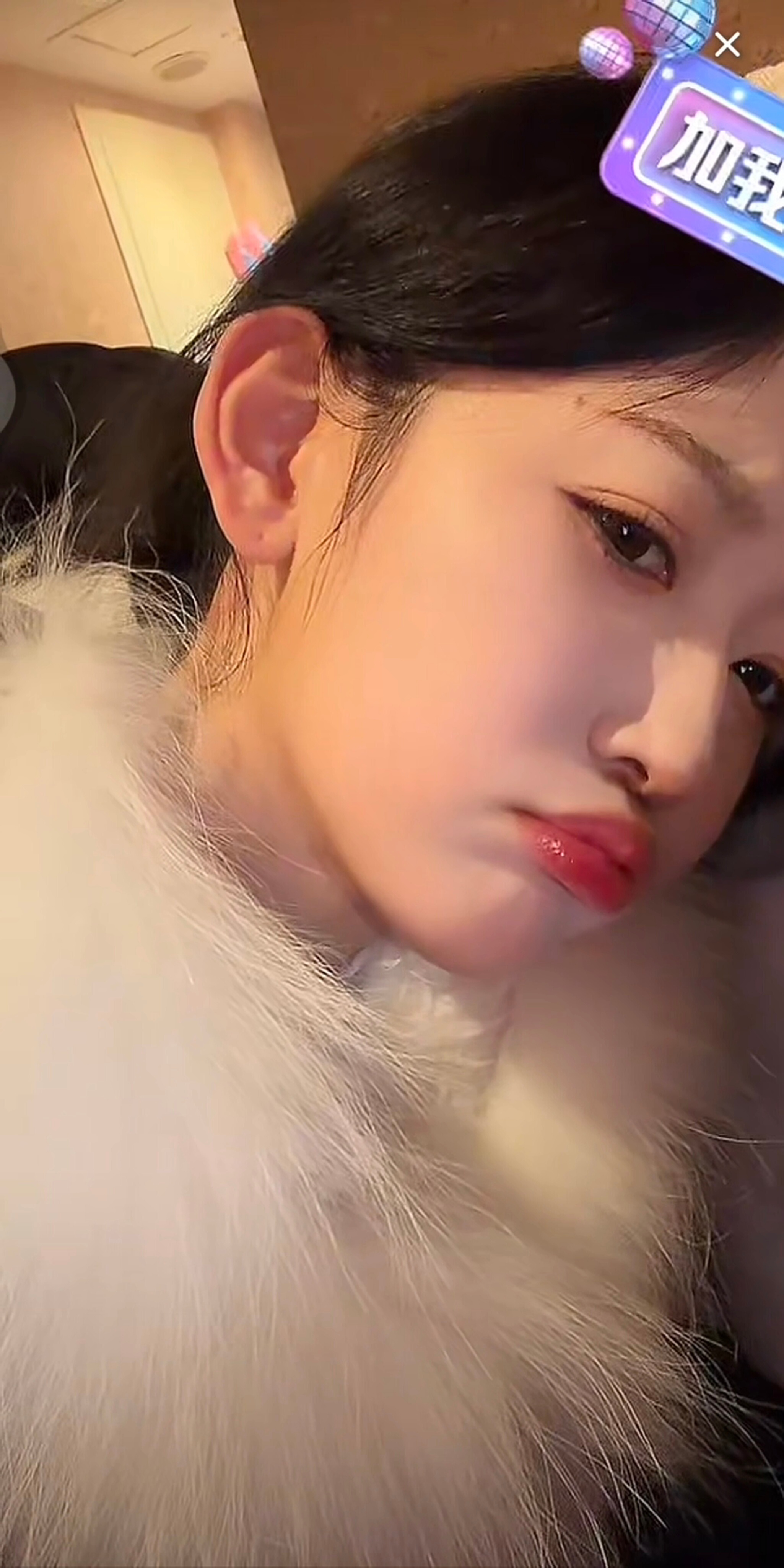 有点怀念从前鲜活的韩雨彤有啥说啥 爱开玩笑 玩玩闹闹我看的也很开心 乐乐呵呵现在