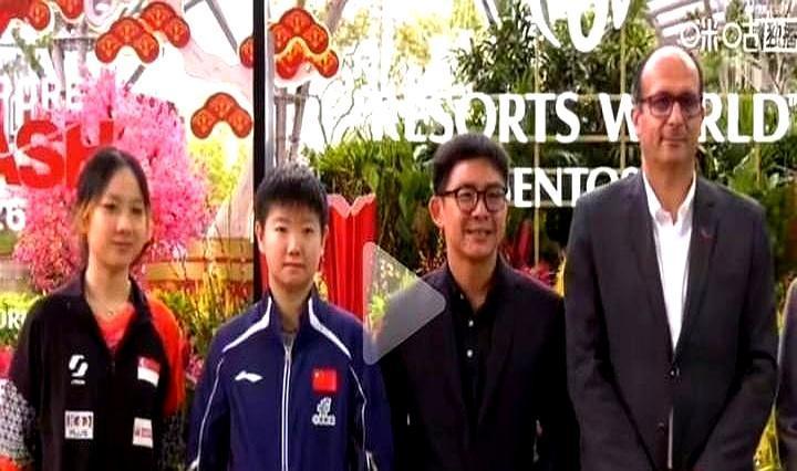 孙颖莎身边的人不对劲！新加坡大满贯抽签，陪着她的不是德华叔叔，竟是个陌生的年轻女