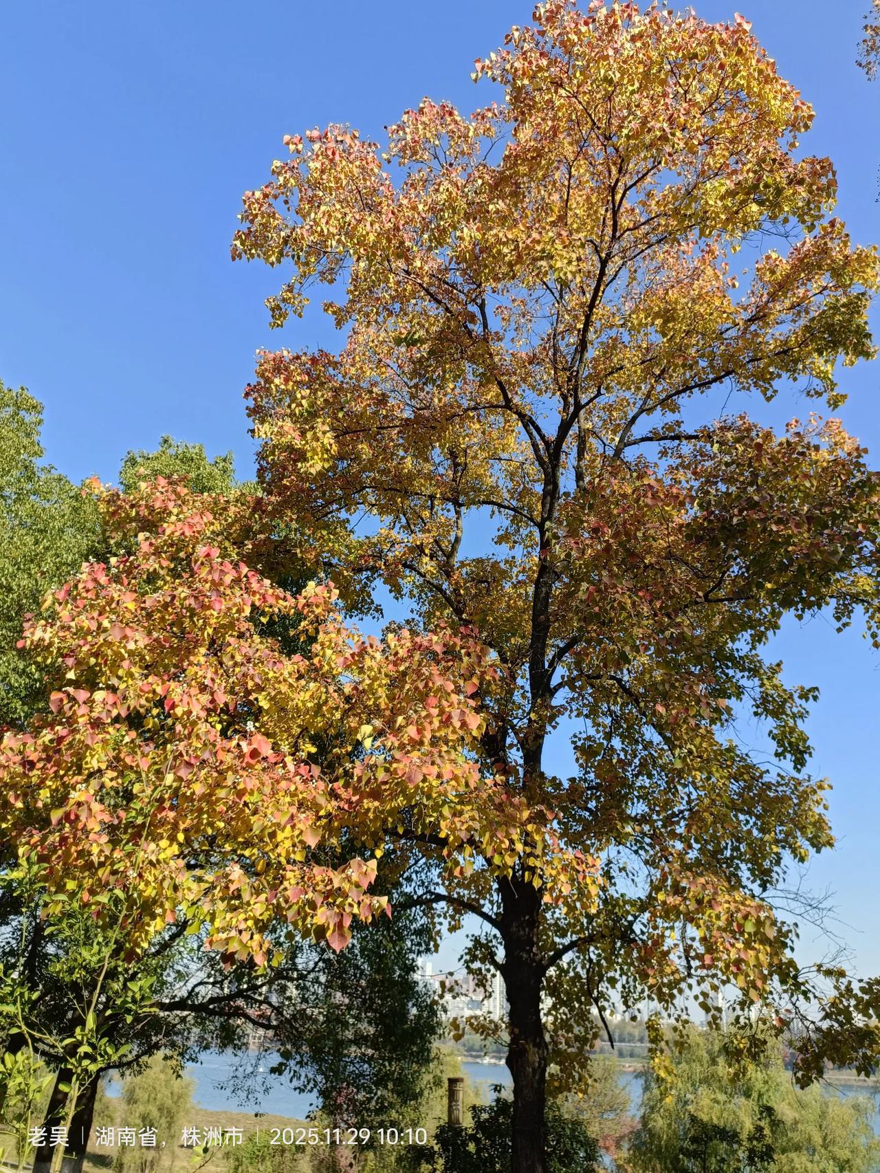 湖南旅行美景分享株洲湘江风光带国家水利风景区