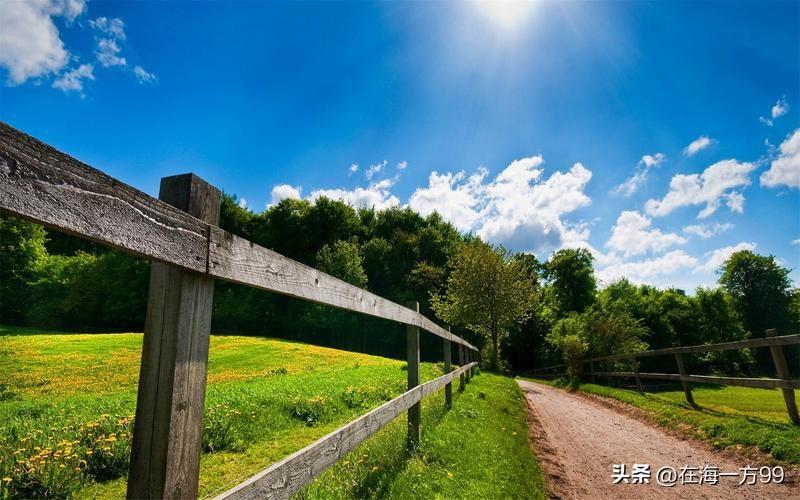 现在要考虑的不单是农民养老金的问题，而是要思考，当初那个能养活全国人民的群体，贡