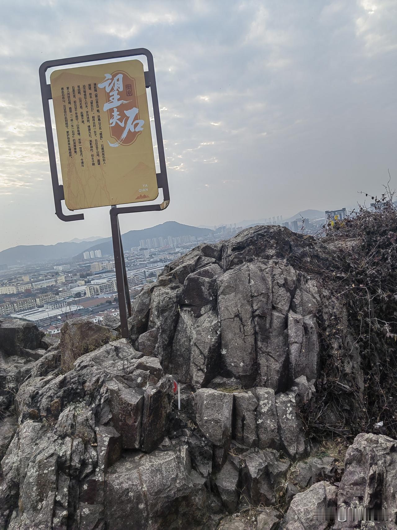 这是一个女性的黄金时代

前天去社区投票，选代表委员，统共八个候选人，只有两个男
