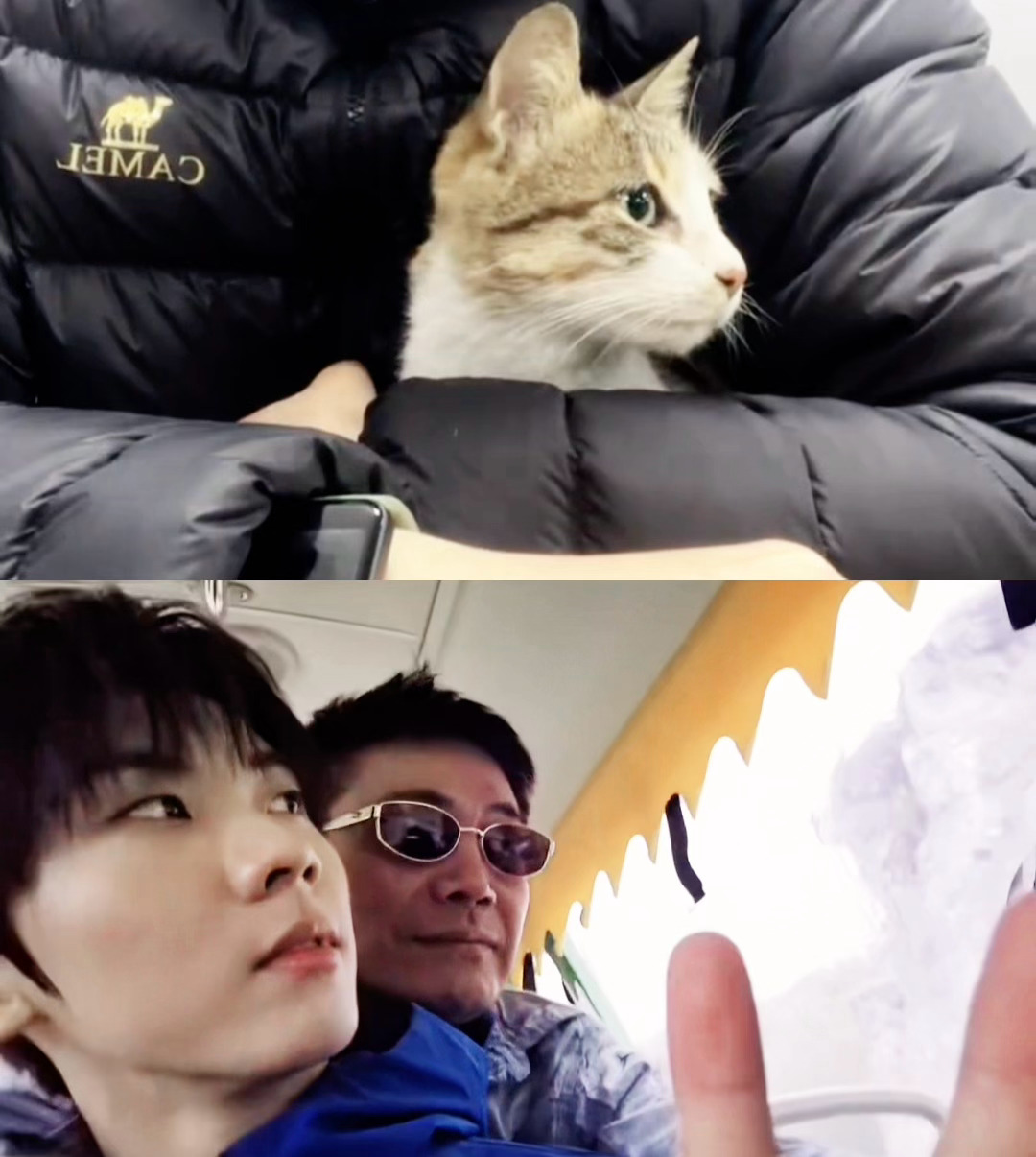 老师我家孩子真是小猫来着不信你自己看吧 