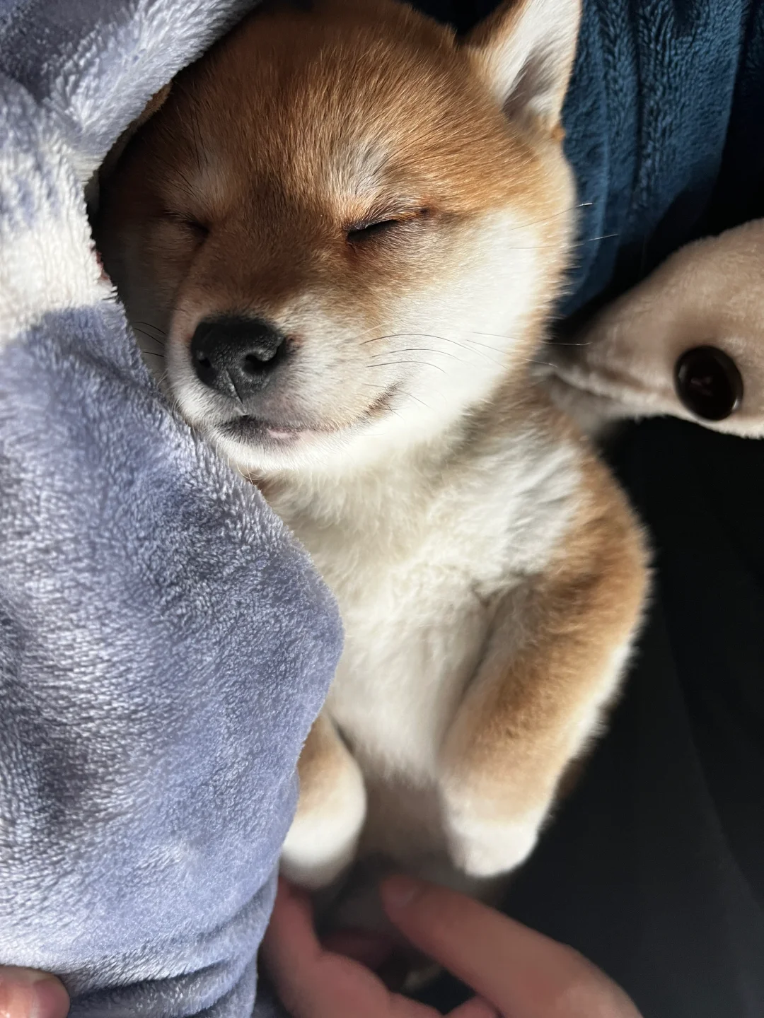 这短短的嘴筒子 给我咬一口怎么了