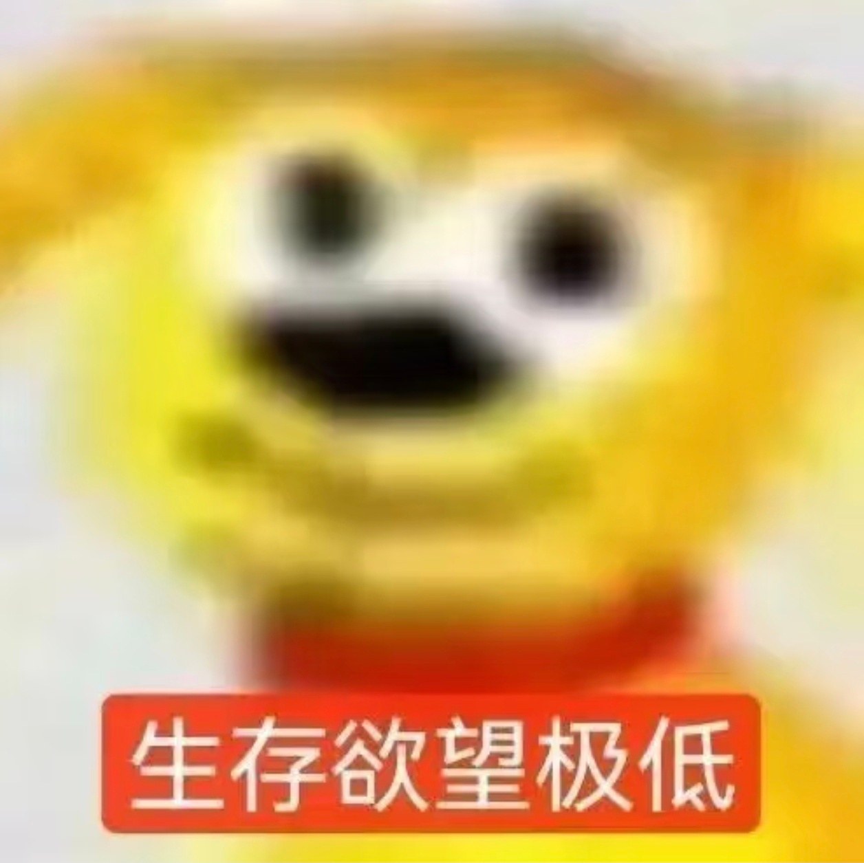 雷朋对我的态度：不讨厌不喜欢 关注但不管 偶尔媚但不卖 听劝但不听我劝 属于是叛