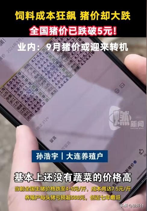 突发！全国猪价跌破5元/斤😭 养殖户亏到止损，反转却藏在细节里
谁能想到？20