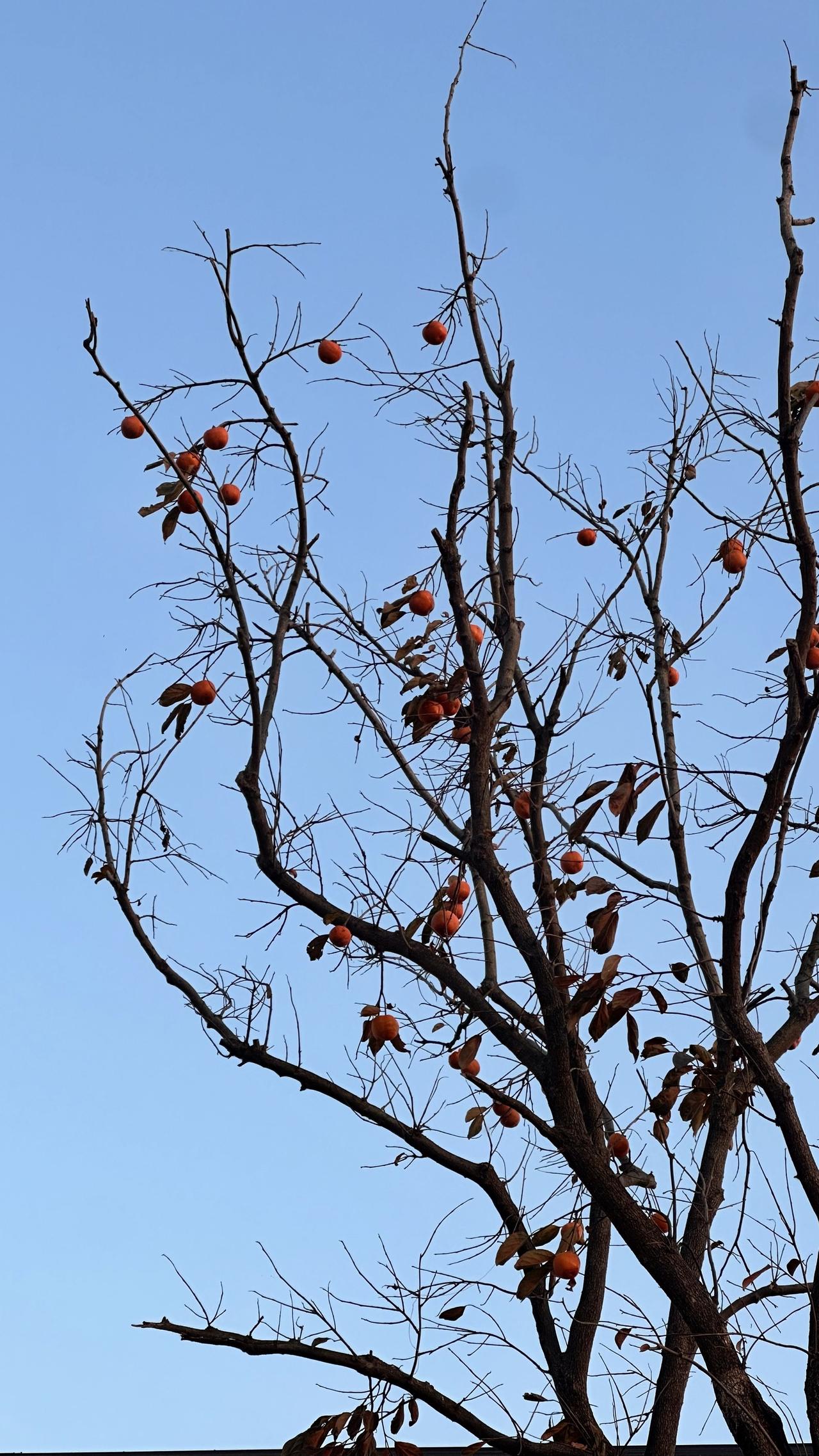 放下焦虑，奔赴户外，每一口新鲜空气，都是生活的回甘