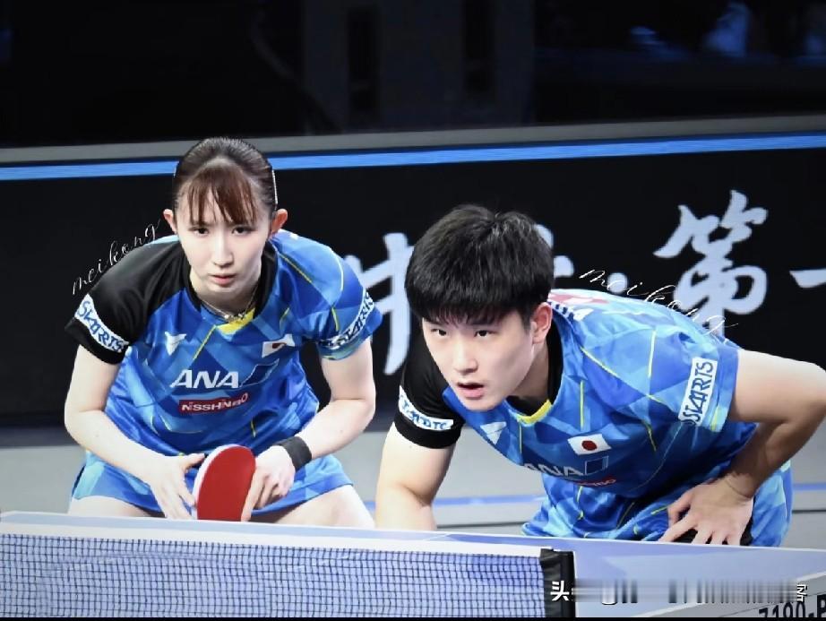 这么友善了吗？中国香港 2-8 日本队：张本智和与早田希娜"冰释前嫌"，携手为日