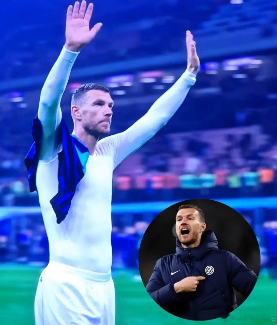 国际米兰球迷向哲科致敬，后者举手回应都怪那个卢巨婴[二哈][二哈][二哈]国际米