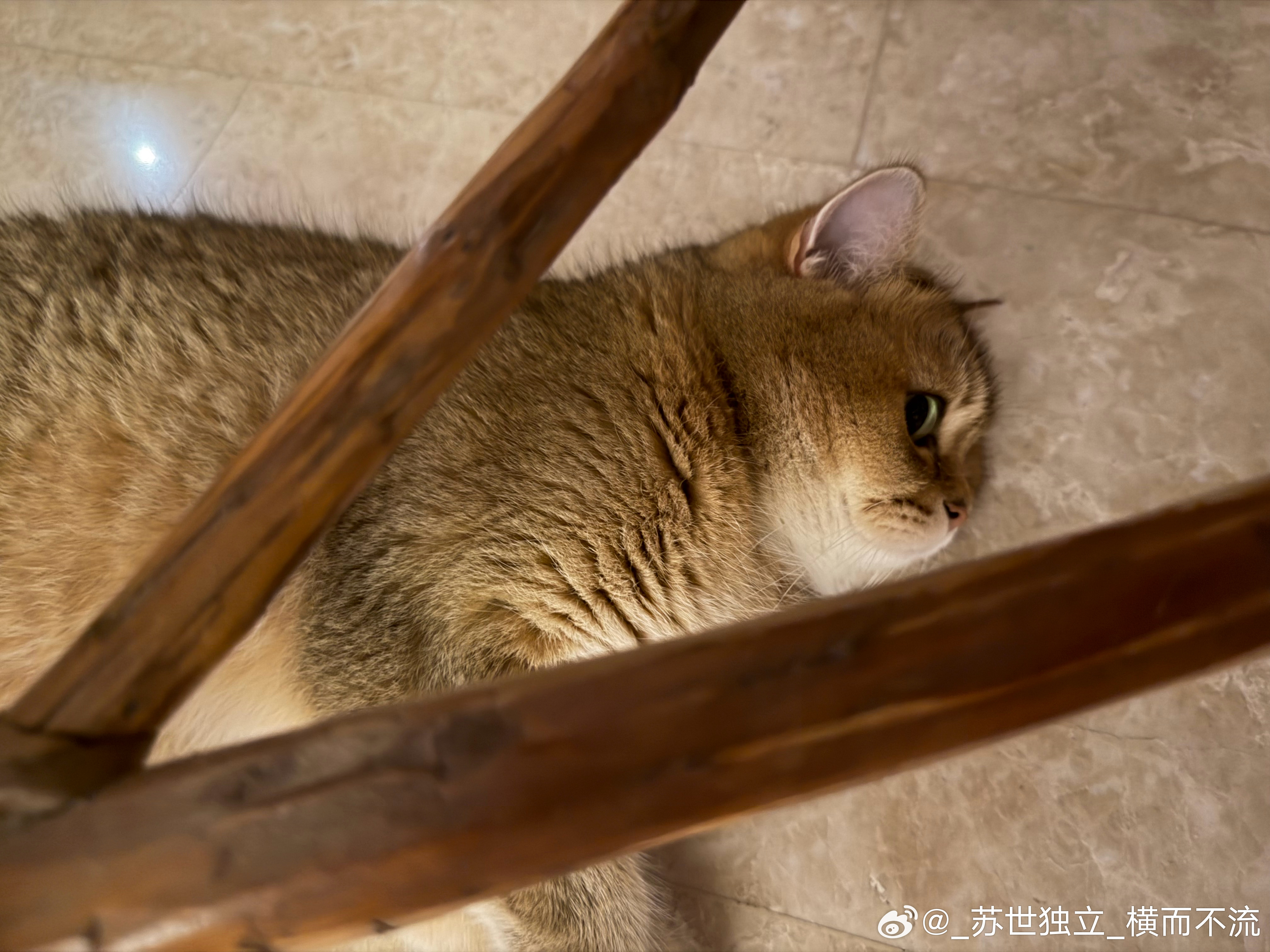 好困啊 
