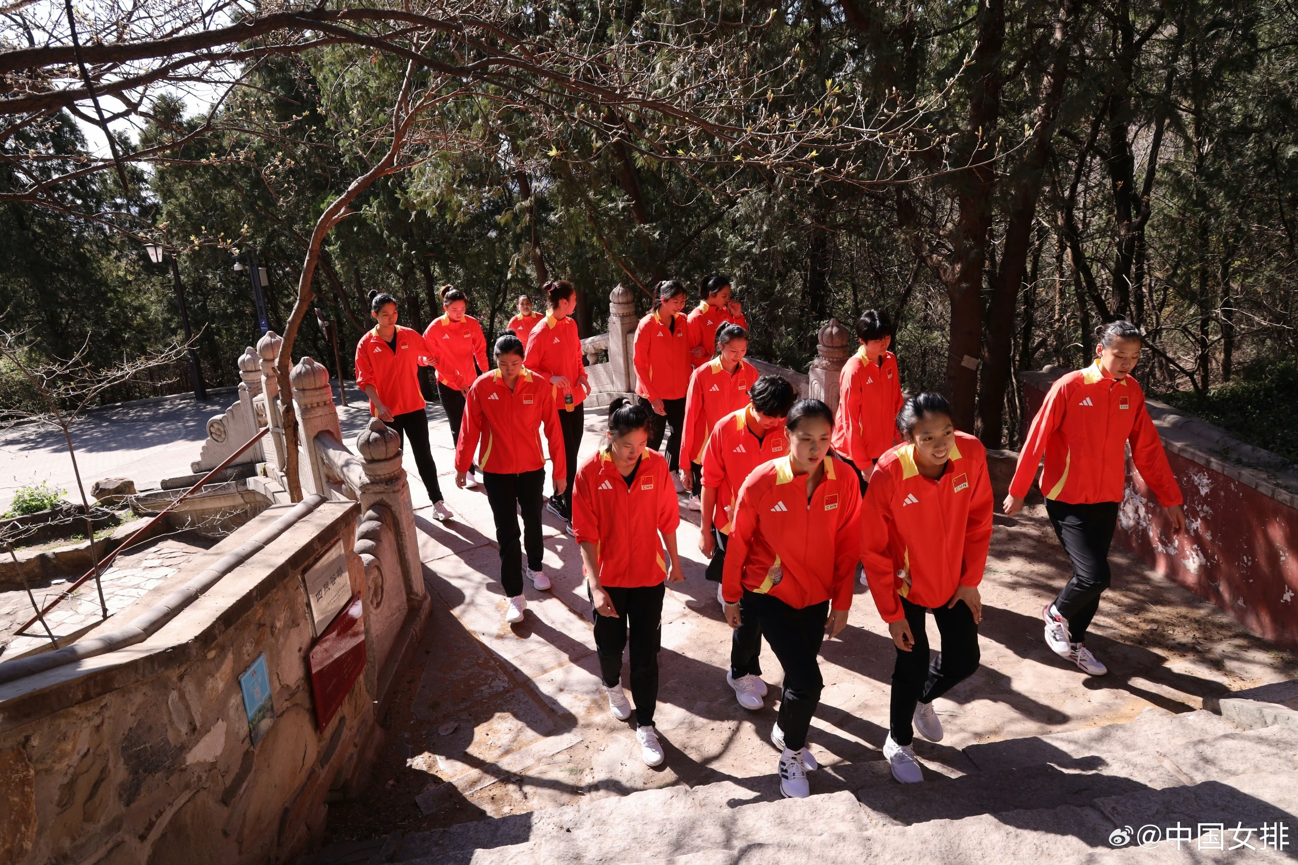 4月7日上午，2026年中国女排首批集训名单中的15名运动员在北京西山八大处公园