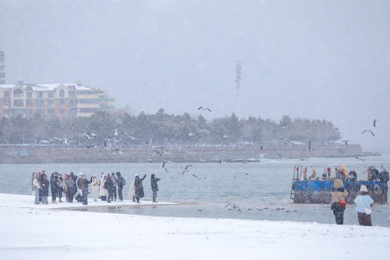 惊蛰邂逅飞雪，这份浪漫在今日的天津展现得淋漓尽致！惊蛰本是万物复苏之际，天津却迎