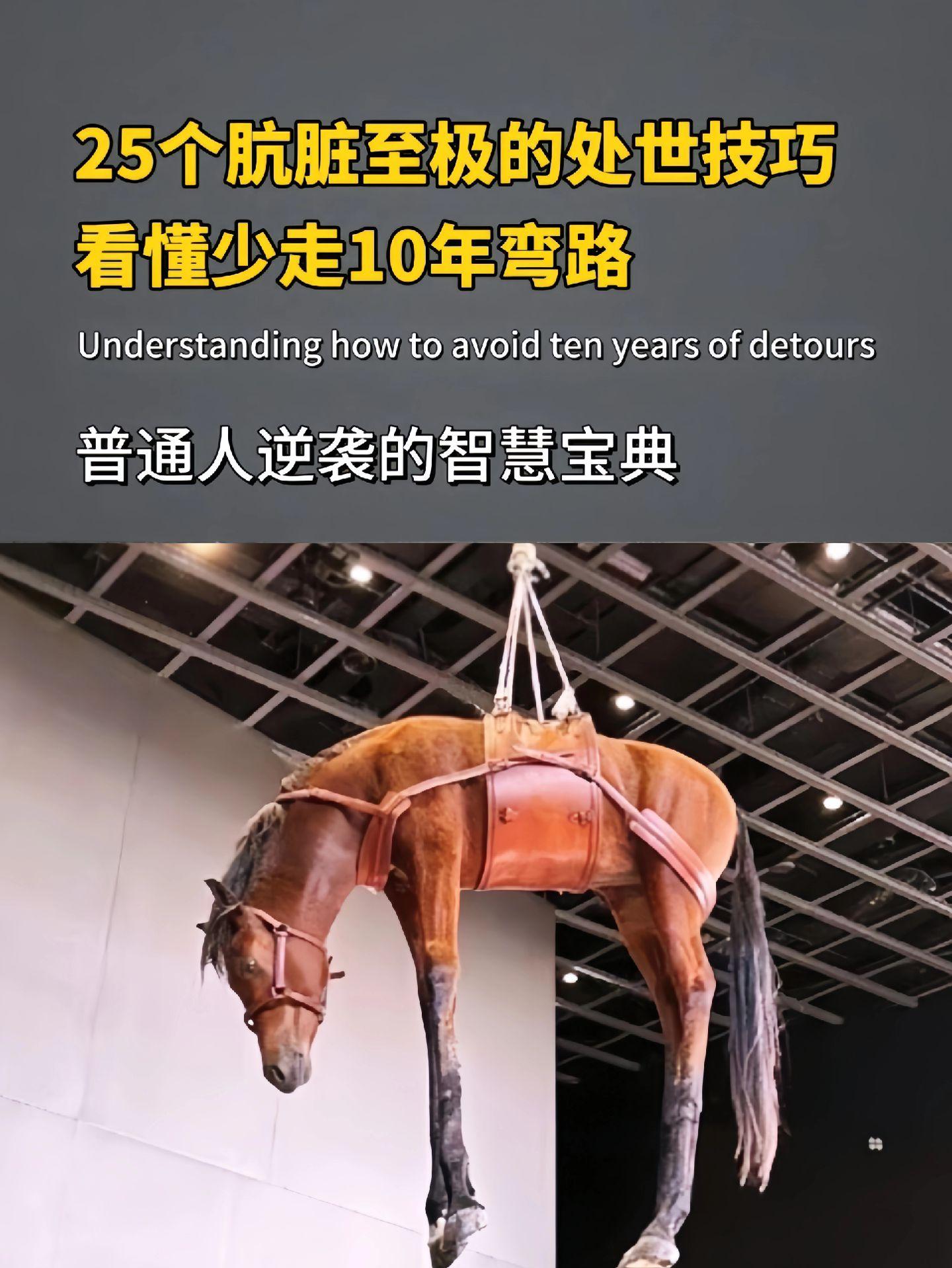 心软，玻璃心的人一定要看！阳谋不是叫你刷手段，而是普通人逆袭的宝典！