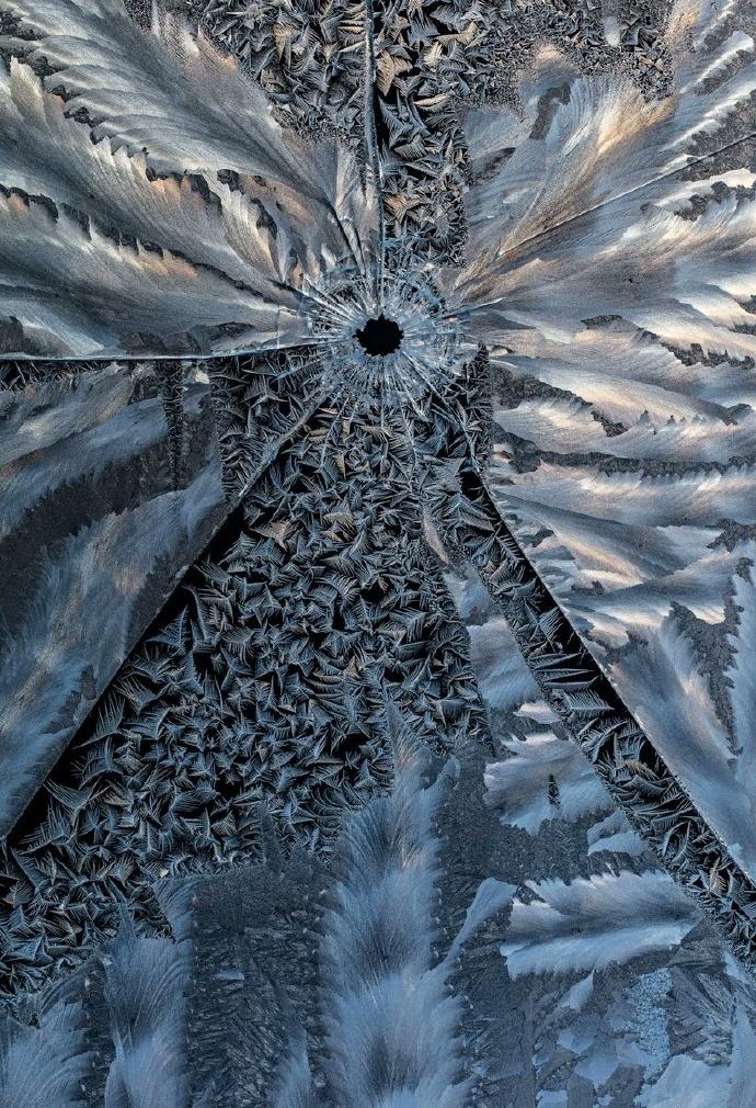 好奇特的画面
芬兰一位摄影师拍摄的窗玻璃上的霜花，窗户上有一个弹孔，上面布满了错