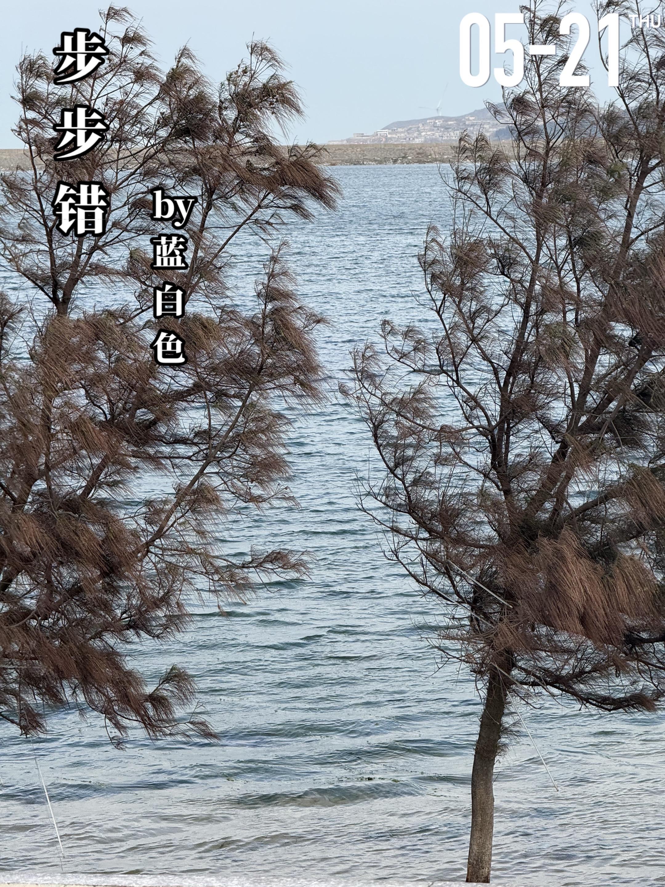 《步步错》by蓝白色。林为零（女主）本是肆意潇洒的大小姐，然而父亲因一...