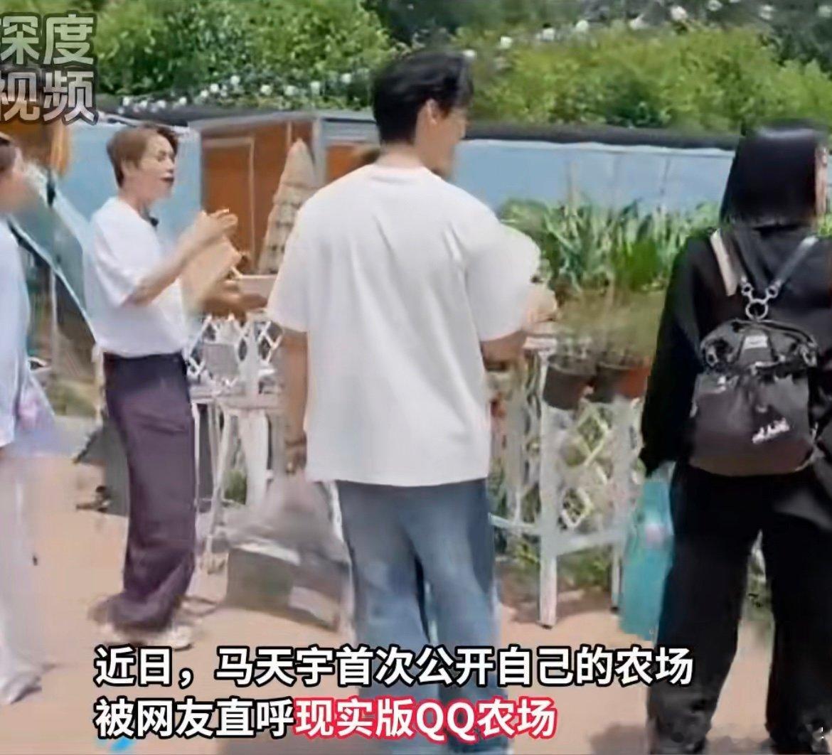 马天宇因假鸡蛋开启农场生活太绝了 从假鸡蛋的糟心到百枚鲜蛋的收获，他把生活的“意