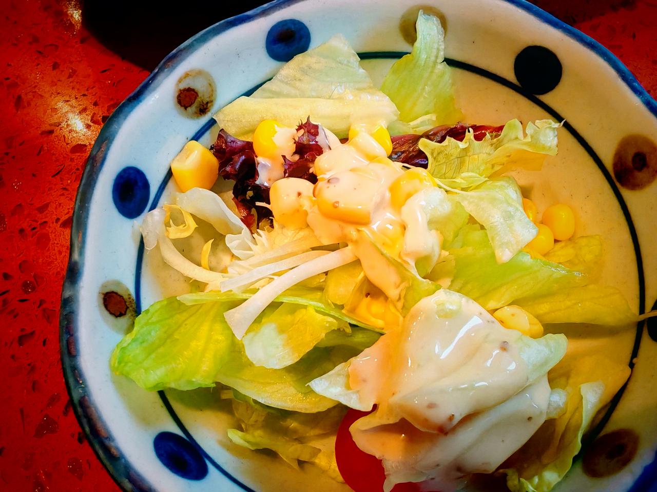 天南地北大拜年