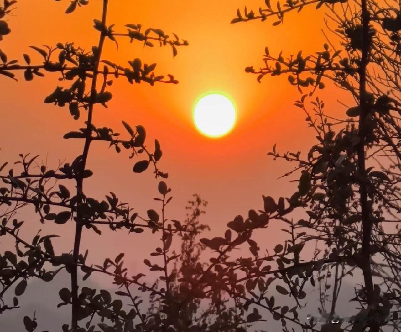 郁抑焦虑了千万不要告诉别人，哪怕是你的父母妻子，没有必要。
因为在他们眼里你只有