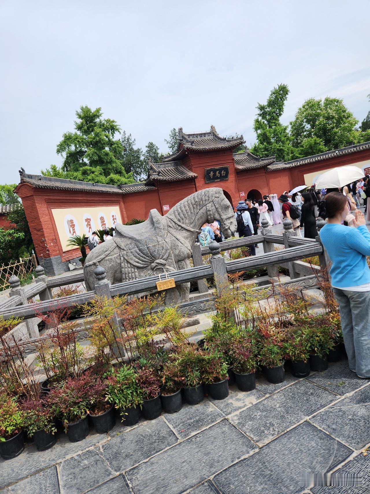 一寺穿越两千年！洛阳白马寺封神游记，中式禅意+四国异域风光，不出国门环游佛国
 