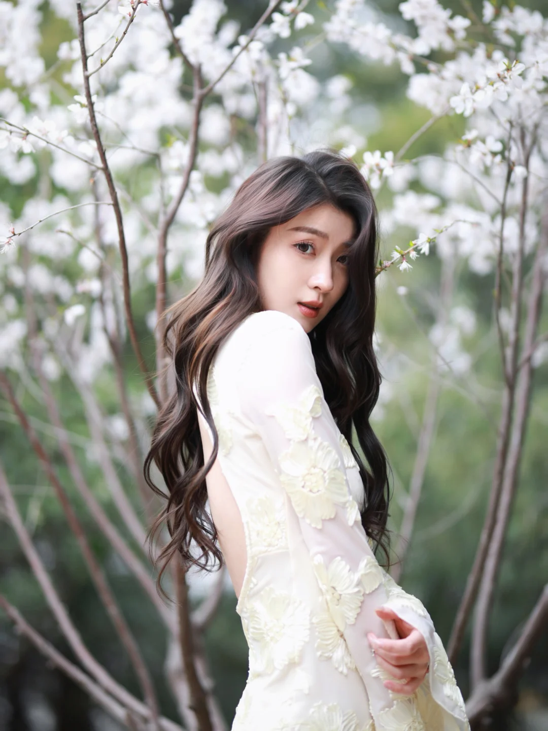 又是一年春和景明🌸