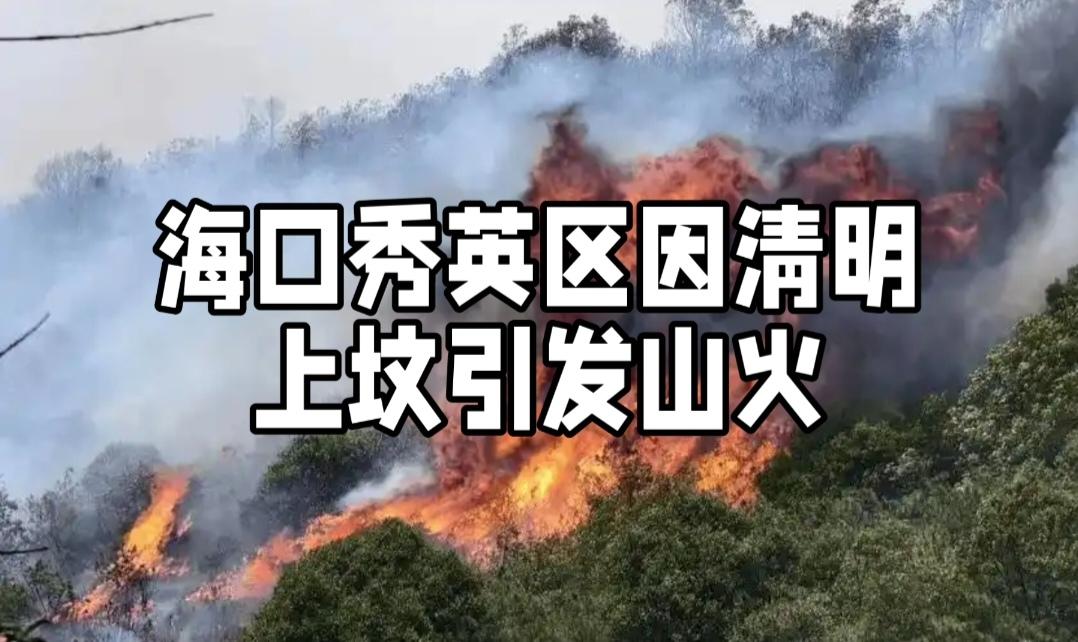 2026年4月3日10时许，海口市秀英区石山镇一字岭坡地突发火情。火势借着风势迅