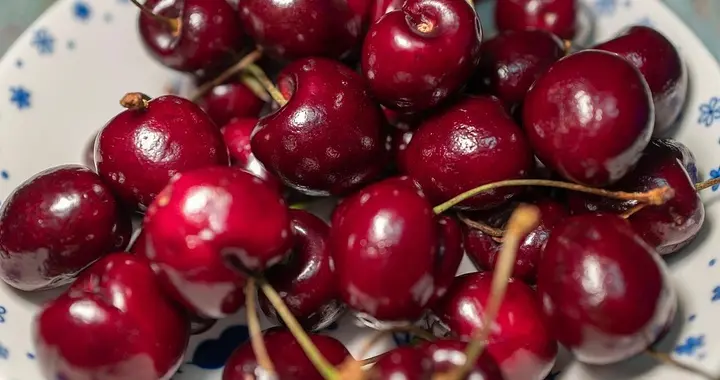 吃车厘子补充褪黑素？专家：吃上百公斤才可能助眠