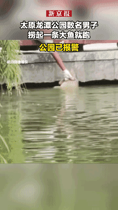 你是穷死了还是馋死了？
就差那么一条鱼🐟吗？🥺