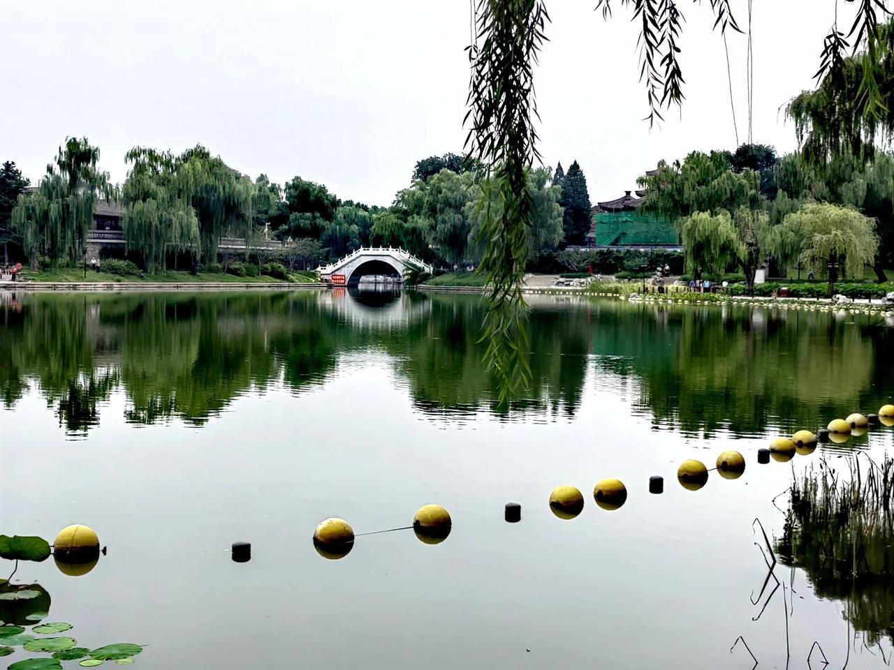 秋日的北京陶然亭公园碧波荡漾，风景如画，亭美、荷香，游人如织，令人留恋忘返！
以