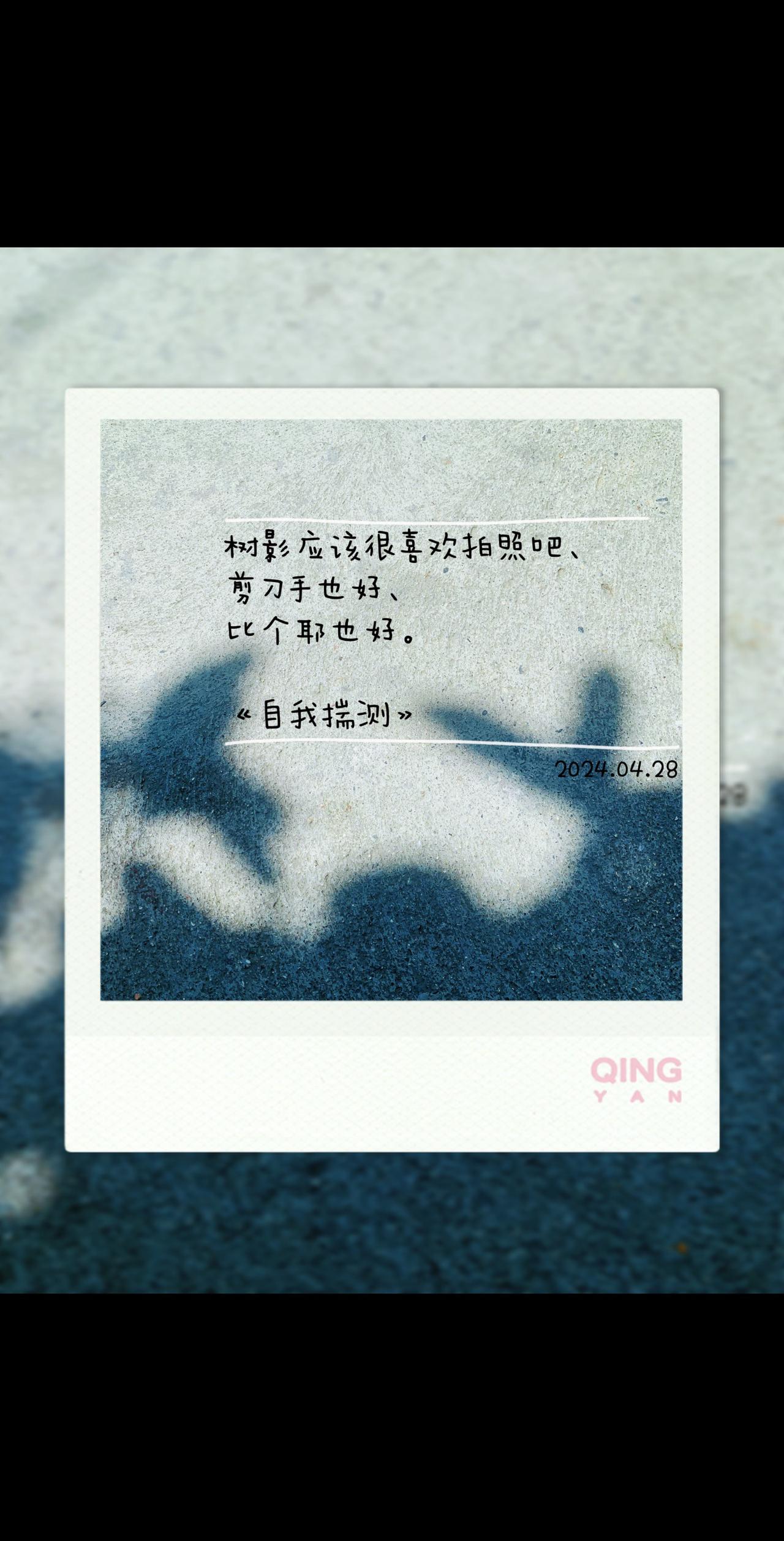 菜叶不是为了吃他的人生长，只是因为阳光雨露土壤肥沃让他势不可挡……

树影喜欢拍