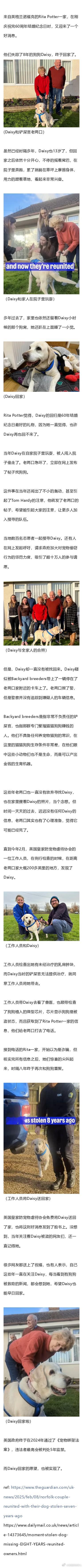 狗狗在自家院子里被绑架。失踪八年后，没想到奇迹出现了...... 