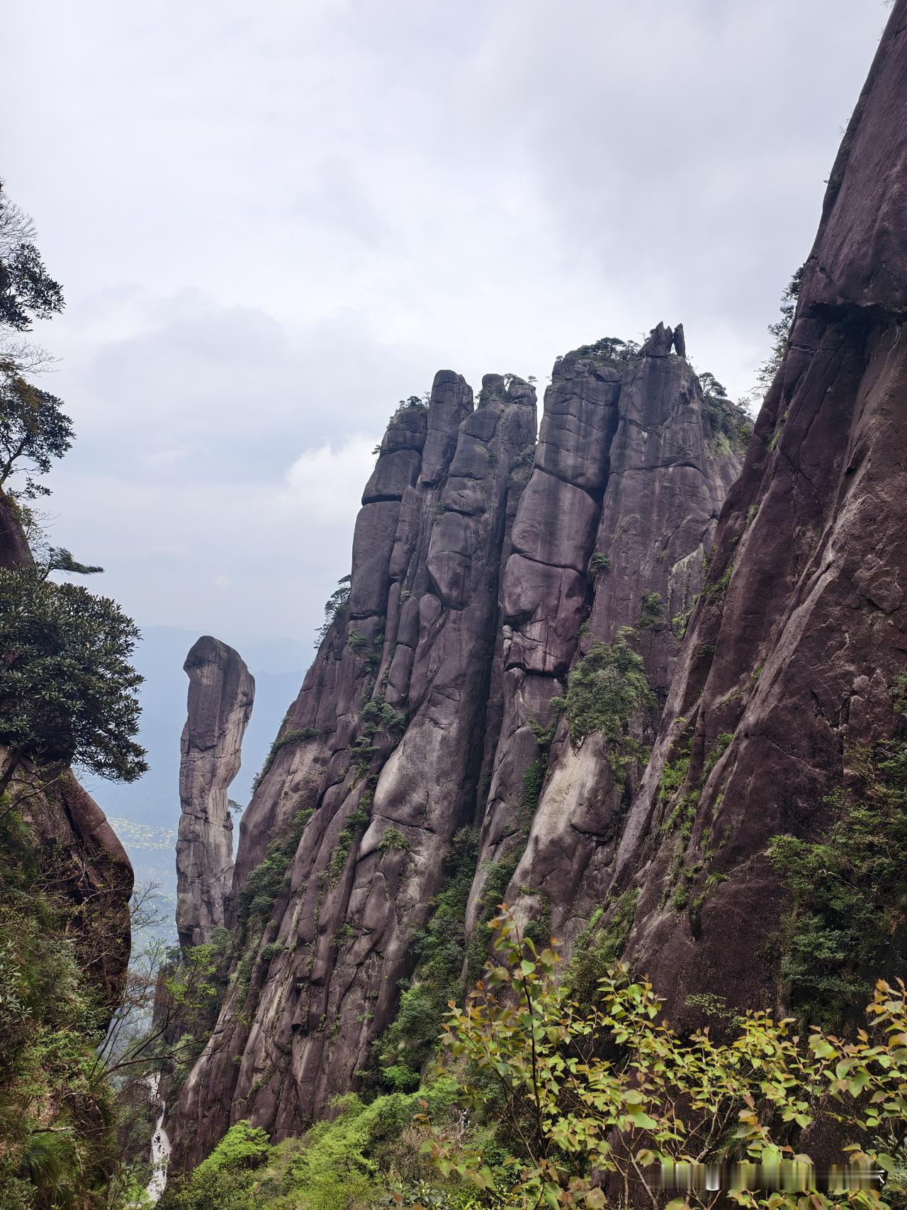 大家看看，三清山是不是让人很惊喜，这是不是非常像？

大拇指，加上另外4指，惟妙