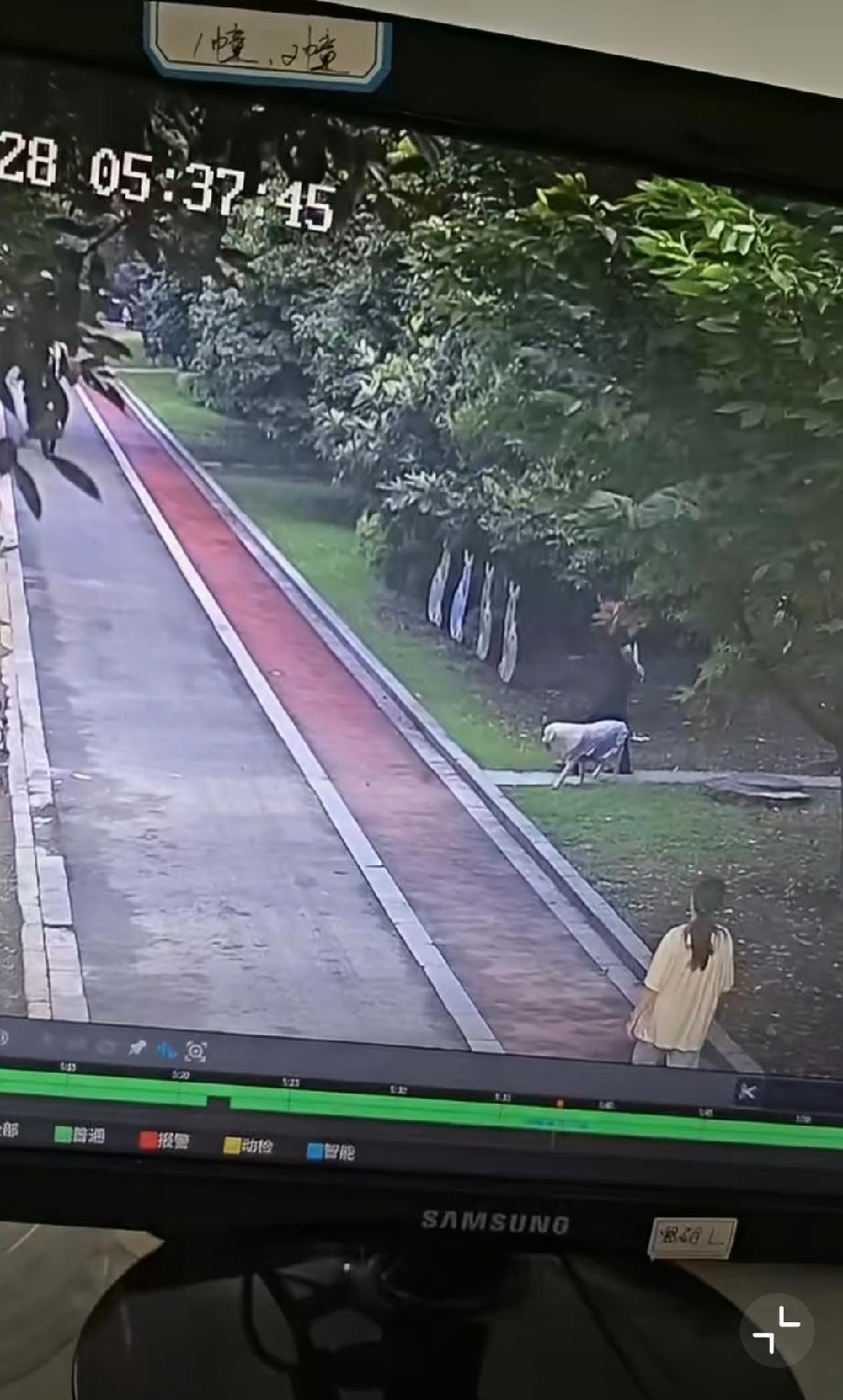 求女生的心理阴影面积。。。
大型犬出门不拴绳，径直扑向过路女孩，小姑娘吓得浑身发