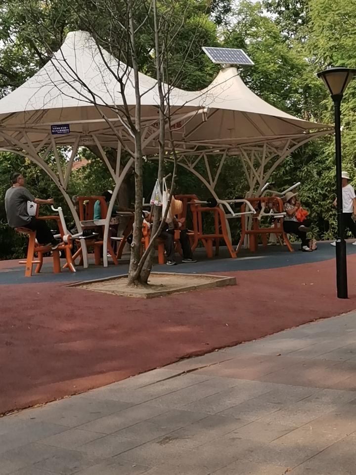 公园的午后，休闲的人们在锻炼身体