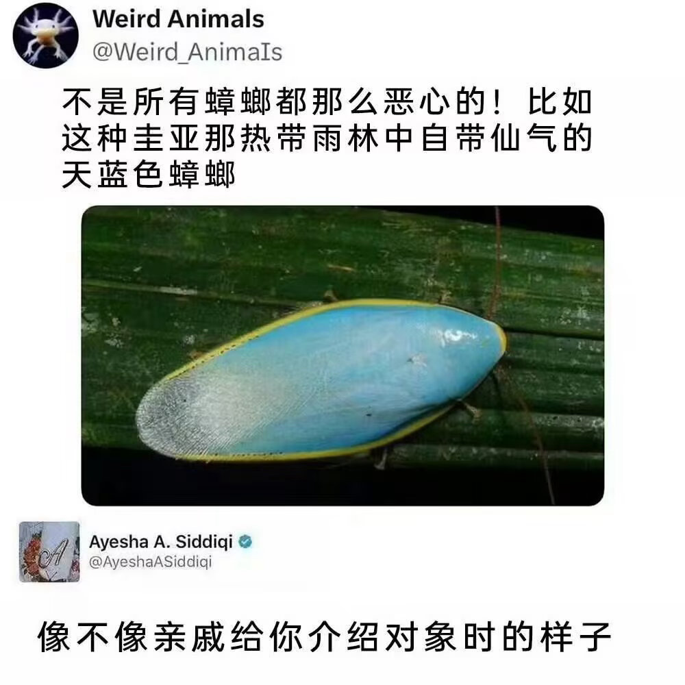 6062（）可以投吗，我笑晕了 ​​​