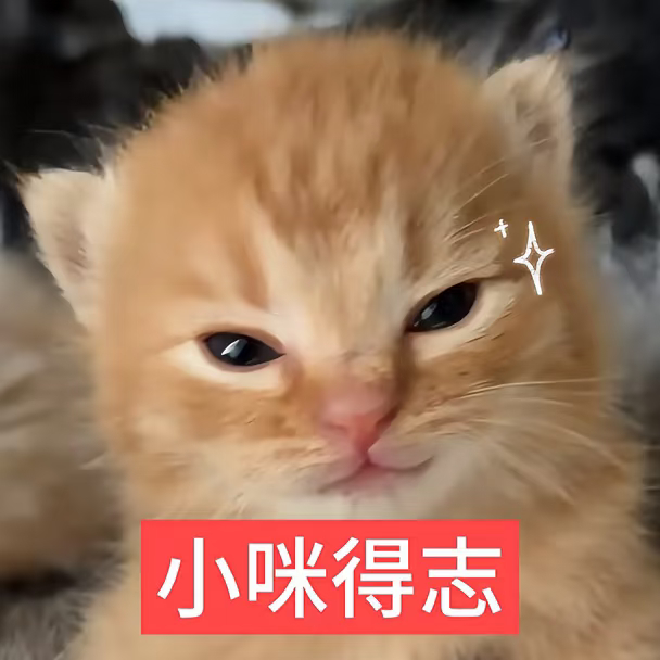 我是不会告诉你关晓彤一年播了三部剧的 ​​​
