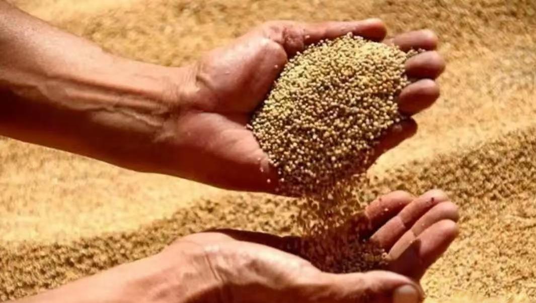 我們都知道聯合國有五大常任理事國，那麽每個國家糧食自給率有多少？能不能自給自足呢