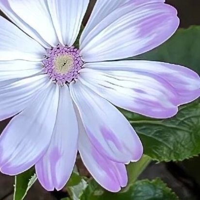 1200 知行善、学行善、比行善，社会将更加美好。日行一善事，快乐每一天。付出是